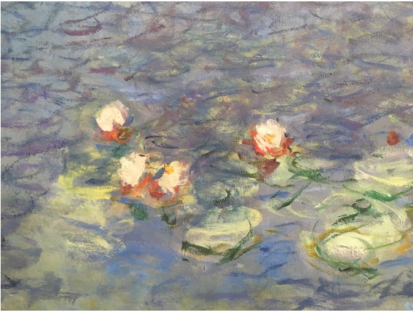 Water Lilies